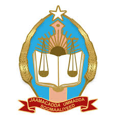 Somali National University logo
